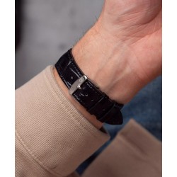 ZEPPELIN WATCHES 8566-4